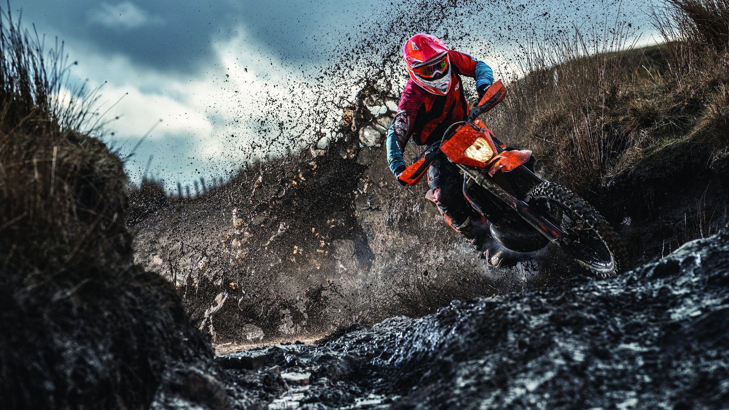 新疆队对阵骑士，霍勒迪彻底打爆防线，一场战术与意志的完胜